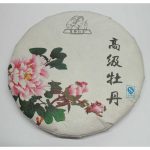 DSCF4952 (2)