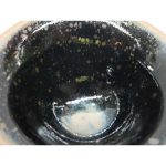 DSCF4206
