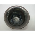 DSCF4217