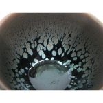 DSCF4227