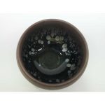 DSCF4230