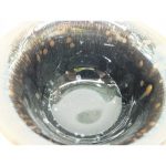 DSCF4345