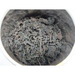 DSCF5179