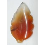 DSCF5579 (2)