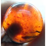 DSCF6475 (2)
