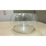 DSCF7937 (2)