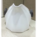 DSCF8051