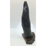 DSCF8134
