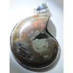 DSCF8194 (2)