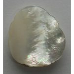 DSCF8146 (2)