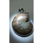 DSCF8241