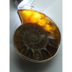 DSCF8265