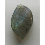 DSCF5951 (2)