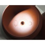 DSCF8179