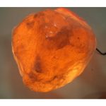 DSCF8202