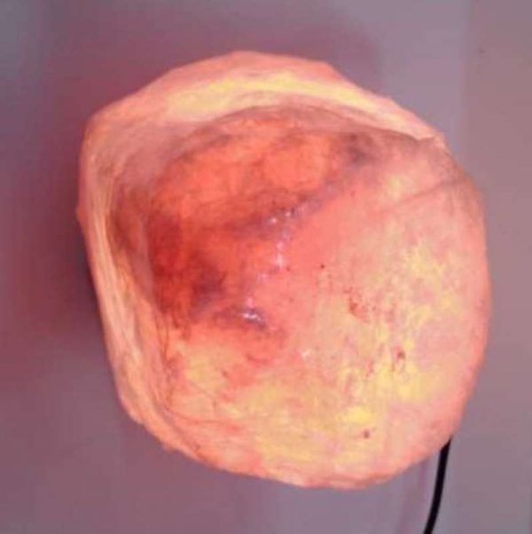 sl30-himalayan-salt-lamp-1524121217754.jpg