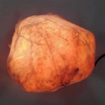 sl38-himalayan-salt-lamp-1524124356384.jpg