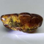 npdab23-myanmar-amber-pendant-pond-of-gold-fish-full-of-gold-coins-1538459328258.jpg