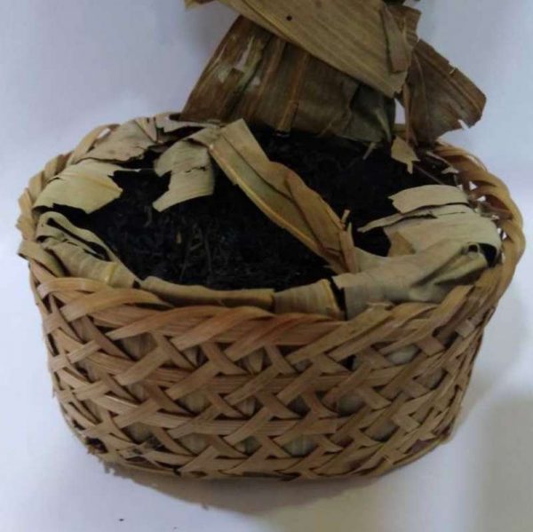 abtla-liu-an-tea-g-year–1592286822863.jpg